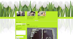 Desktop Screenshot of jitkahoustova-domacipeceni.blog.cz