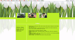 Desktop Screenshot of in-my-own.blog.cz