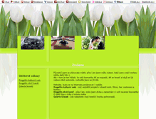 Tablet Screenshot of in-my-own.blog.cz