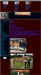 Mobile Screenshot of petitcheval.blog.cz