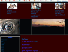 Tablet Screenshot of petitcheval.blog.cz