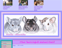 Tablet Screenshot of cincila-chinchilla.blog.cz