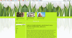 Desktop Screenshot of majkles-stranka.blog.cz