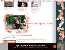 Tablet Screenshot of dhxwmh.blog.cz