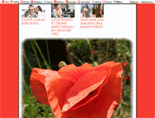 Tablet Screenshot of pernikovachaloupka.blog.cz