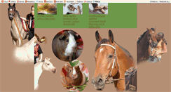 Desktop Screenshot of kostara-schleich.blog.cz