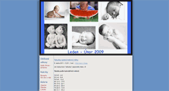 Desktop Screenshot of leden-unor2009.blog.cz