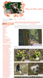 Mobile Screenshot of muchomurka1.blog.cz