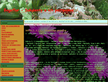 Tablet Screenshot of bogo007.blog.cz