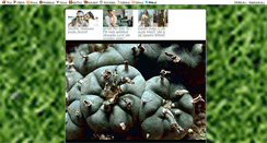 Desktop Screenshot of peyote.blog.cz