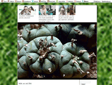 Tablet Screenshot of peyote.blog.cz