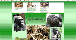 Desktop Screenshot of gorily-odhaleni.blog.cz