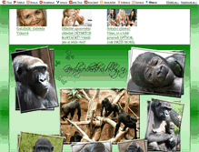 Tablet Screenshot of gorily-odhaleni.blog.cz