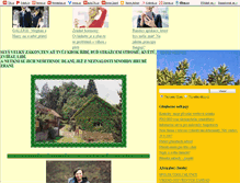 Tablet Screenshot of mlynec.blog.cz