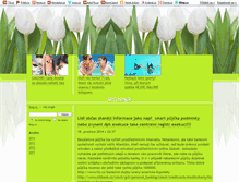 Tablet Screenshot of massimo-web.blog.cz