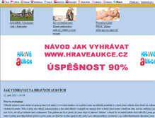 Tablet Screenshot of jaknahraveaukce.blog.cz