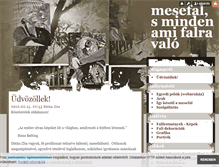 Tablet Screenshot of falfesto.blog.hu