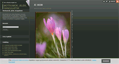 Desktop Screenshot of hangulatok.blog.hu