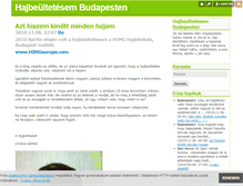 Tablet Screenshot of hajbeultetes-budapesten.blog.hu