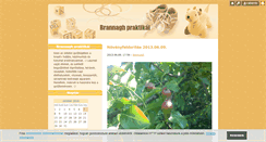 Desktop Screenshot of brannaghpraktikai.blog.hu