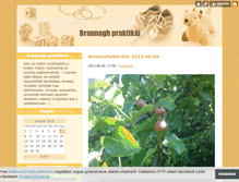 Tablet Screenshot of brannaghpraktikai.blog.hu