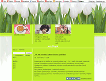 Tablet Screenshot of neser-info.blog.cz