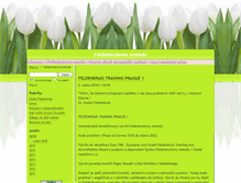 Tablet Screenshot of feldenkrais.blog.cz