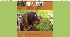 Desktop Screenshot of moje-zvirectvo.blog.cz