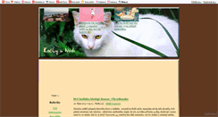 Desktop Screenshot of nadinazviratka.blog.cz