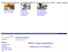 Tablet Screenshot of korzari-medajlonu.blog.cz