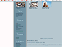 Tablet Screenshot of madeleine-flowers.blog.cz