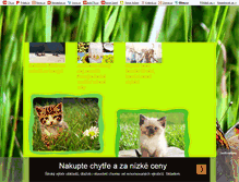 Tablet Screenshot of kocourek1998.blog.cz