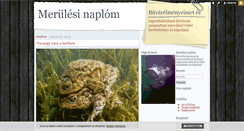 Desktop Screenshot of buvarnaplo.blog.hu