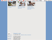 Tablet Screenshot of kymminka.blog.cz