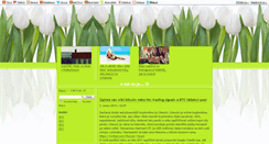 Desktop Screenshot of jogin-web.blog.cz