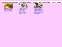 Tablet Screenshot of kornelia4.blog.cz