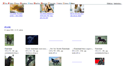 Desktop Screenshot of konicek.blog.cz