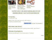 Tablet Screenshot of fe-e.blog.cz