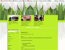 Tablet Screenshot of music.blog.cz