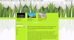 Desktop Screenshot of misa-info.blog.cz