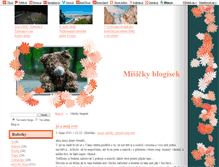 Tablet Screenshot of misicka1990.blog.cz