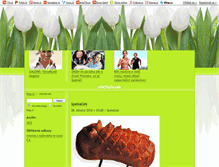 Tablet Screenshot of michalsvak.blog.cz