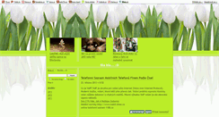 Desktop Screenshot of lundgren-web.blog.cz