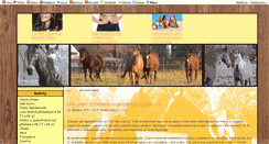 Desktop Screenshot of nasi-konickove.blog.cz