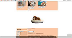 Desktop Screenshot of morcatkaskinny.blog.cz