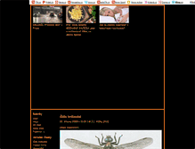 Tablet Screenshot of existence1.blog.cz
