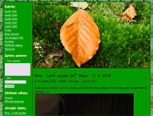 Tablet Screenshot of neluskaprincezna.blog.cz