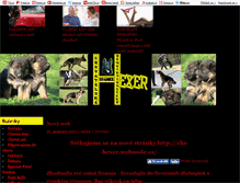Tablet Screenshot of hexer.blog.cz