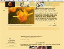Tablet Screenshot of lographicawe.blog.cz