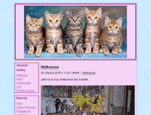 Tablet Screenshot of iva221.blog.cz